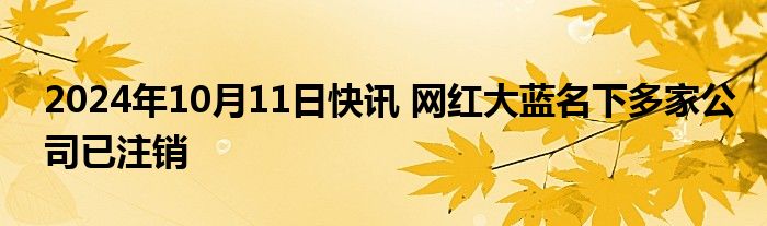 2024年10月11日快讯 网红大蓝名下多家公司已注销