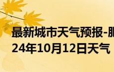 最新城市天气预报-肥东天气预报合肥肥东2024年10月12日天气