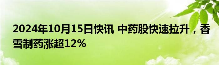 2024年10月15日快讯 中药股快速拉升，香雪制药涨超12%