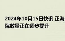 2024年10月15日快讯 正海生物：公司活性生物骨产品的入院数量正在逐步提升