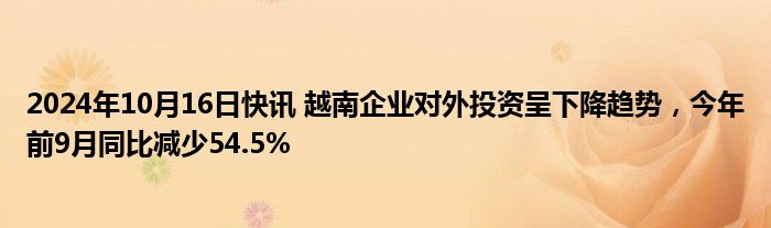 2024年10月16日快讯 越南企业对外投资呈下降趋势，今年前9月同比减少54.5%