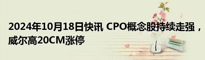 2024年10月18日快讯 CPO概念股持续走强，威尔高20CM涨停