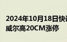 2024年10月18日快讯 CPO概念股持续走强，威尔高20CM涨停