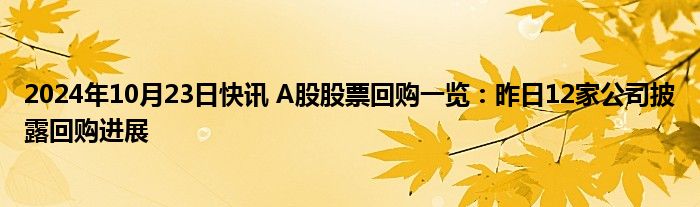 2024年10月23日快讯 A股股票回购一览：昨日12家公司披露回购进展