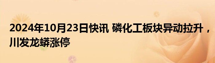 2024年10月23日快讯 磷化工板块异动拉升，川发龙蟒涨停