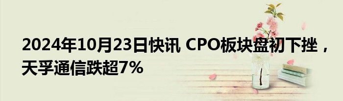 2024年10月23日快讯 CPO板块盘初下挫，天孚通信跌超7%