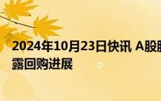 2024年10月23日快讯 A股股票回购一览：昨日12家公司披露回购进展