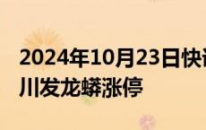 2024年10月23日快讯 磷化工板块异动拉升，川发龙蟒涨停