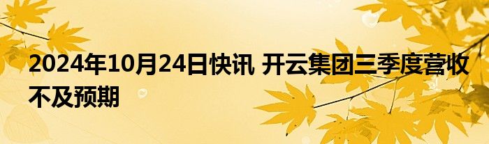 2024年10月24日快讯 开云集团三季度营收不及预期