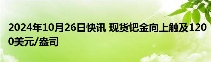 2024年10月26日快讯 现货钯金向上触及1200美元/盎司