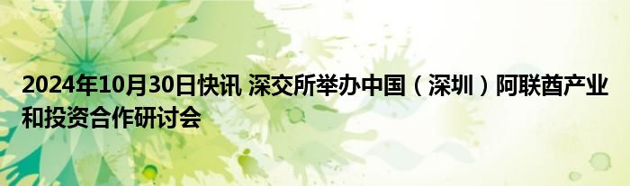 2024年10月30日快讯 深交所举办中国（深圳）阿联酋产业和投资合作研讨会