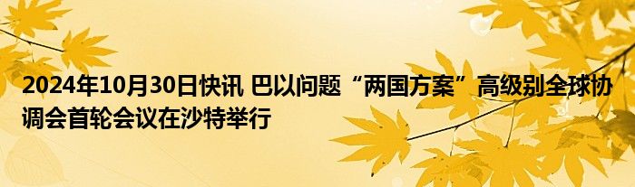 2024年10月30日快讯 巴以问题“两国方案”高级别全球协调会首轮会议在沙特举行