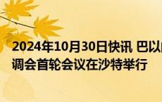 2024年10月30日快讯 巴以问题“两国方案”高级别全球协调会首轮会议在沙特举行