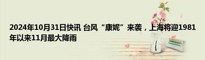 2024年10月31日快讯 台风“康妮”来袭，上海将迎1981年以来11月最大降雨