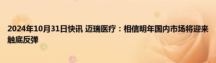 2024年10月31日快讯 迈瑞医疗：相信明年国内市场将迎来触底反弹