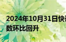 2024年10月31日快讯 日本9月工矿业生产指数环比回升