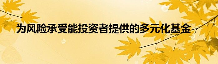 为风险承受能投资者提供的多元化基金