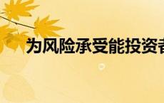 为风险承受能投资者提供的多元化基金