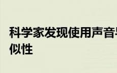 科学家发现使用声音导航的物种之间的遗传相似性