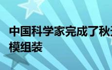 中国科学家完成了秋天粘虫基因组的染色体规模组装