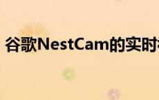 谷歌NestCam的实时视频历史记录出现故障