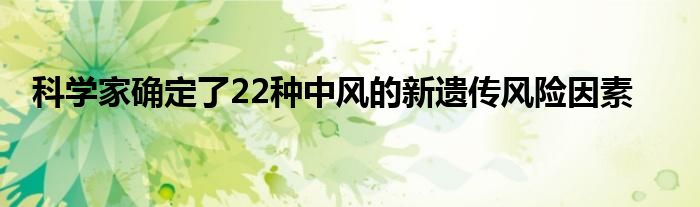 科学家确定了22种中风的新遗传风险因素