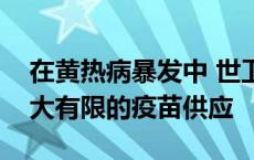 在黄热病暴发中 世卫组织计划减少剂量以扩大有限的疫苗供应