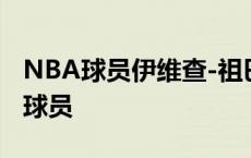 NBA球员伊维查-祖巴茨球员信息以及同位置球员